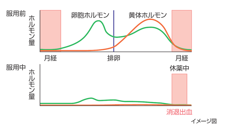 ルナベルの作用ポイント①